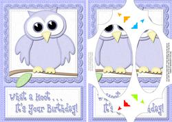 A5 What a Hoot Owl Birthday Scallop Corners and Pyramage