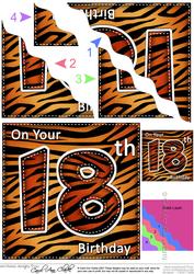 Funky Fun Zebra Print 18th Birthday Wavy Corner Side Stacker