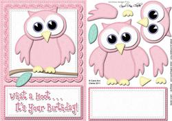 A5 What a Hoot Birthday Felties Quick Card N 3D Decoupage