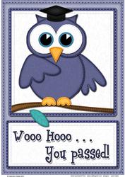 A4 Wise Owl Exam Congrats Felties Card Topper