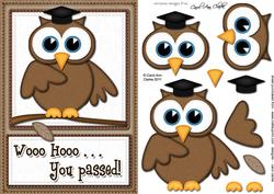 A5 Wise Owl Exam Congrats Felties Quick Card 3D Decoupage