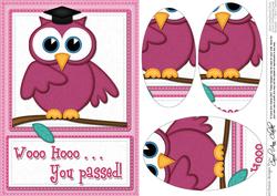 A5 Wise Owl Exam Good Luck Felties Oval Pyramage Topper