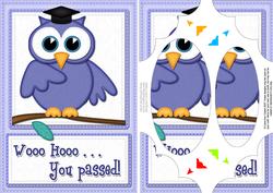 A5 Wise Owl Congrats Felties Scallop Corners N Pyramage