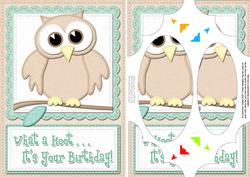 A5 What a Hoot Owl Birthday Scallop Corners and Pyramage