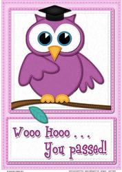 A4 Wise Owl Exam Congrats Felties Card Topper