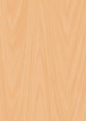 Men's Backing Paper