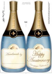 Large Dl Anniversary Champagne Bottle Shaped Card
