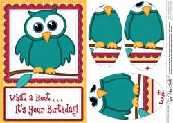 A5 What a Hoot Owl Birthday Oval Pyramage Topper