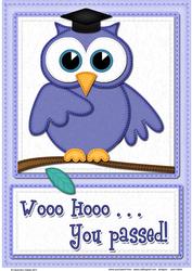 A4 Wise Owl You Passed Felties Card Topper