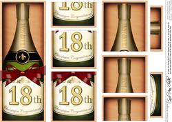 Dl 18th Champers in a Box with Top N Bottom Stacker
