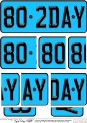 80th Birthday Fun Novelty Number Plate Side Stacker Topper
