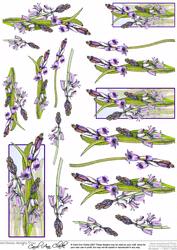 Bluebell Decoupage