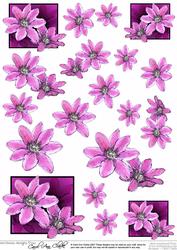 Clematis Decoupage