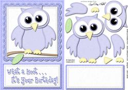A5 What a Hoot Birthday Felties Quick Card N 3D Decoupage