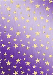 Xmas Dove Matching Backing Paper