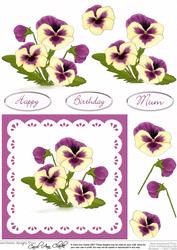 Pansy & Lace in Burgundy