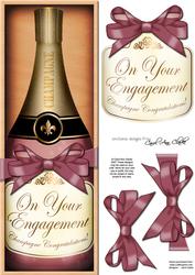 Lge Dl Engagement Champers in a Box Quick Card 3D Decoupage