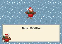 Large Dl Christmas Insert with Robins