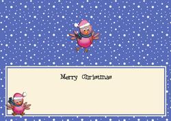 Large Dl Christmas Insert with Robins