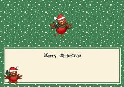 Large Dl Christmas Insert with Robins