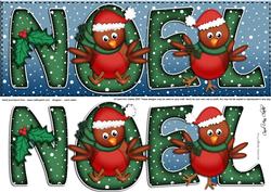 Large Dl Xmas Noel with Robins Quick Card with 3D Decoupage