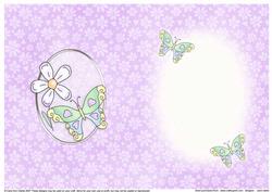 Butterfly Insert