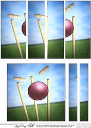 Cricket Side Stacker