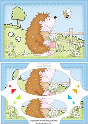 A5 Cute Hedgehog Scallop Corners and Pyramage