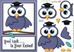 A5 Wise Owl Good Luck Exam Felties Quick Card 3D Decoupage