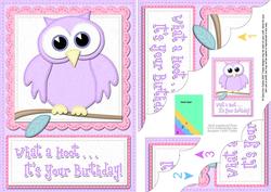 A5 What a Hoot Owl Birthday Scallop Corner Side Stacker