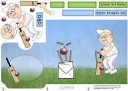 Bert Plays Cricket Lottery Wallet Card
