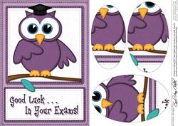 A5 Wise Owl Exam Good Luck Felties Oval Pyramage Topper