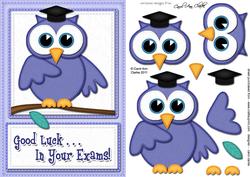 A5 Wise Owl Good Luck Exam Felties Quick Card 3D Decoupage