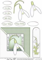 Snowdrops Quick Card with Decoupage