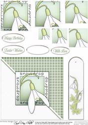 Snowdrops Quick Card with Pyramage