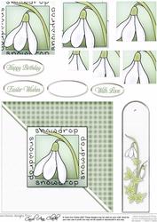 Snowdrops Quick Card with Pyramage