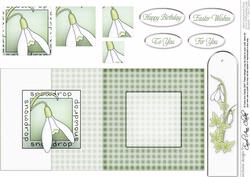 Snowdrop Fold Back Card with Pyramage