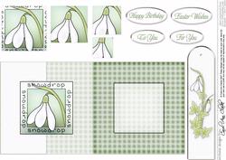 Snowdrop Fold Back Card with Pyramage