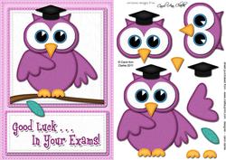 A5 Wise Owl Good Luck Exam Felties Quick Card 3D Decoupage
