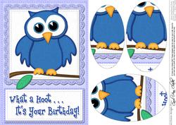 A5 What a Hoot Owl Birthday Oval Pyramage Topper