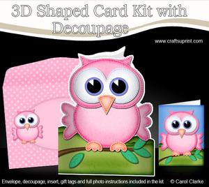 3D Little Hoot the Owl Shaped Card Decoupage N Envelope
