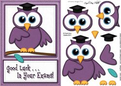A5 Wise Owl Good Luck Exam Felties Quick Card 3D Decoupage