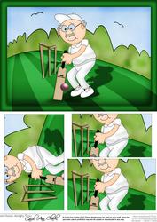 A5 Bert Loves Cricket Pyramage Topper