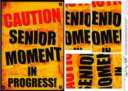 A5 Fun Novelty Senior Moment Pyramage Topper