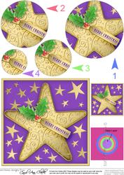 Xmas Star Circle Pyramage Topper