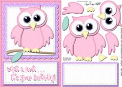 A5 What a Hoot Birthday Felties Quick Card N 3D Decoupage