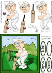 Bert Plays Cricket Quick Card N 3D Decoupage