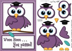 A5 Wise Owl Exam Congrats Felties Quick Card 3D Decoupage