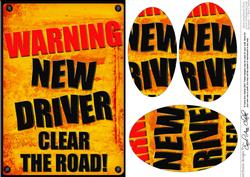 A5 Fun Novelty New Driver Oval Pyramage Topper