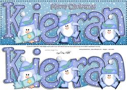 Large Dl Kieran Quick Card with Penguins N 3D Decoupage